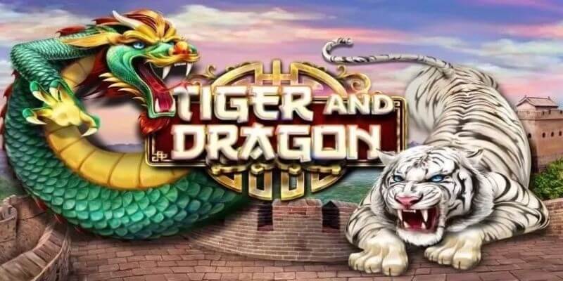 Dragon Tiger TDTC.