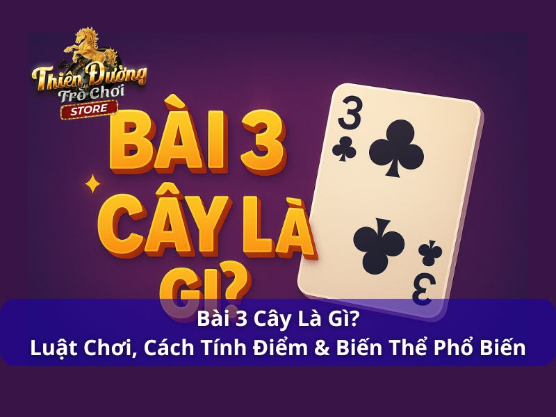 Bài 3 Cây Là Gì? Luật Chơi, Cách Tính Điểm & Biến Thể Phổ Biến